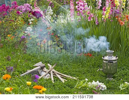 shiny samovar is heated by the fire burning splinters of wood and it emits white smoke and the samovar standing on green grass with colors of red and pink gladioli and Phlox near the samovar is the axe and the wood in Russia