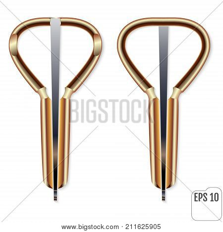 Jew's Harp On A White Background. Vector Illustration For Your Business Idea