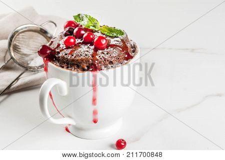 Chocolate Mugcake With Cranberry