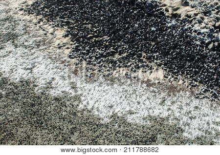 Sea rock surface with wet white filamentous chlorophyta algae closeup as natural background