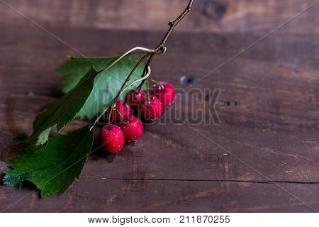 Close up red hawberries on wooden background autumn concept