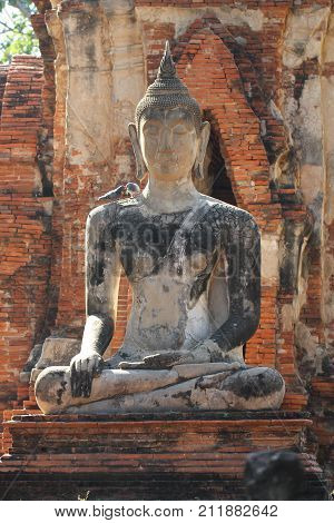 400 years old of ancient stone buddha statue with standing bird on his shoulder in the forest , Full body art crafting sculpture, sitting human statue, home decoration wallpaper