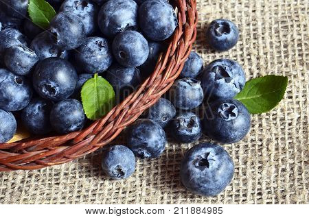 Freshly picked blueberries in a basket on a burlap cloth background.Fresh organic blueberry.Bilberries.Healthy eating,vegan diet or raw food concept.