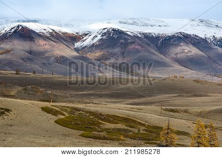 Panorama of the Kurai steppe in the autumn against the backdrop of towering snow peaks. Russia, Siberia, the Republic of Altai.