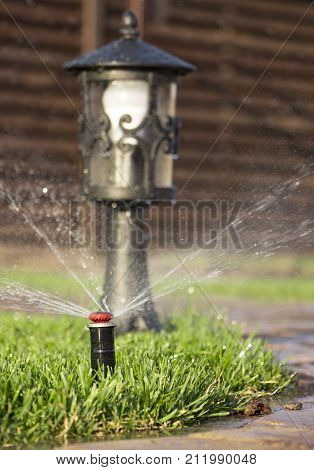 A rotating sprinkler spraying a water into the backyard.