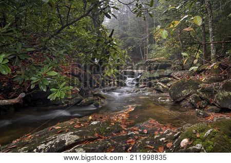 A small waterfall along a creek in North Carolina in autumn on a rainy day.