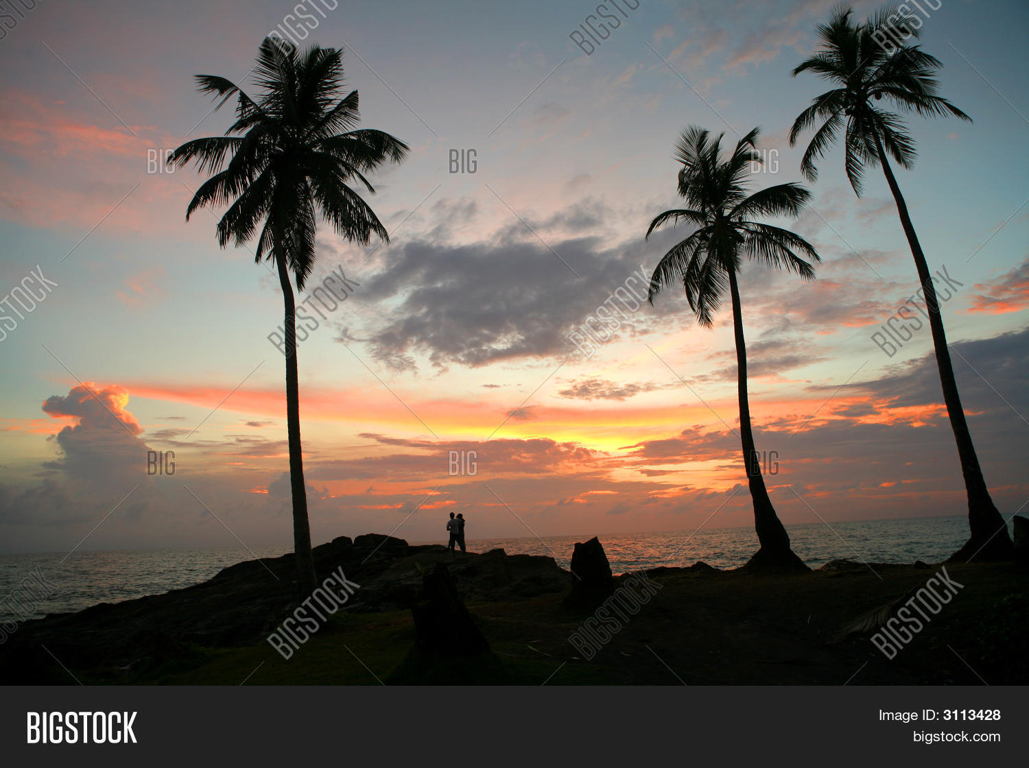 Image Preview