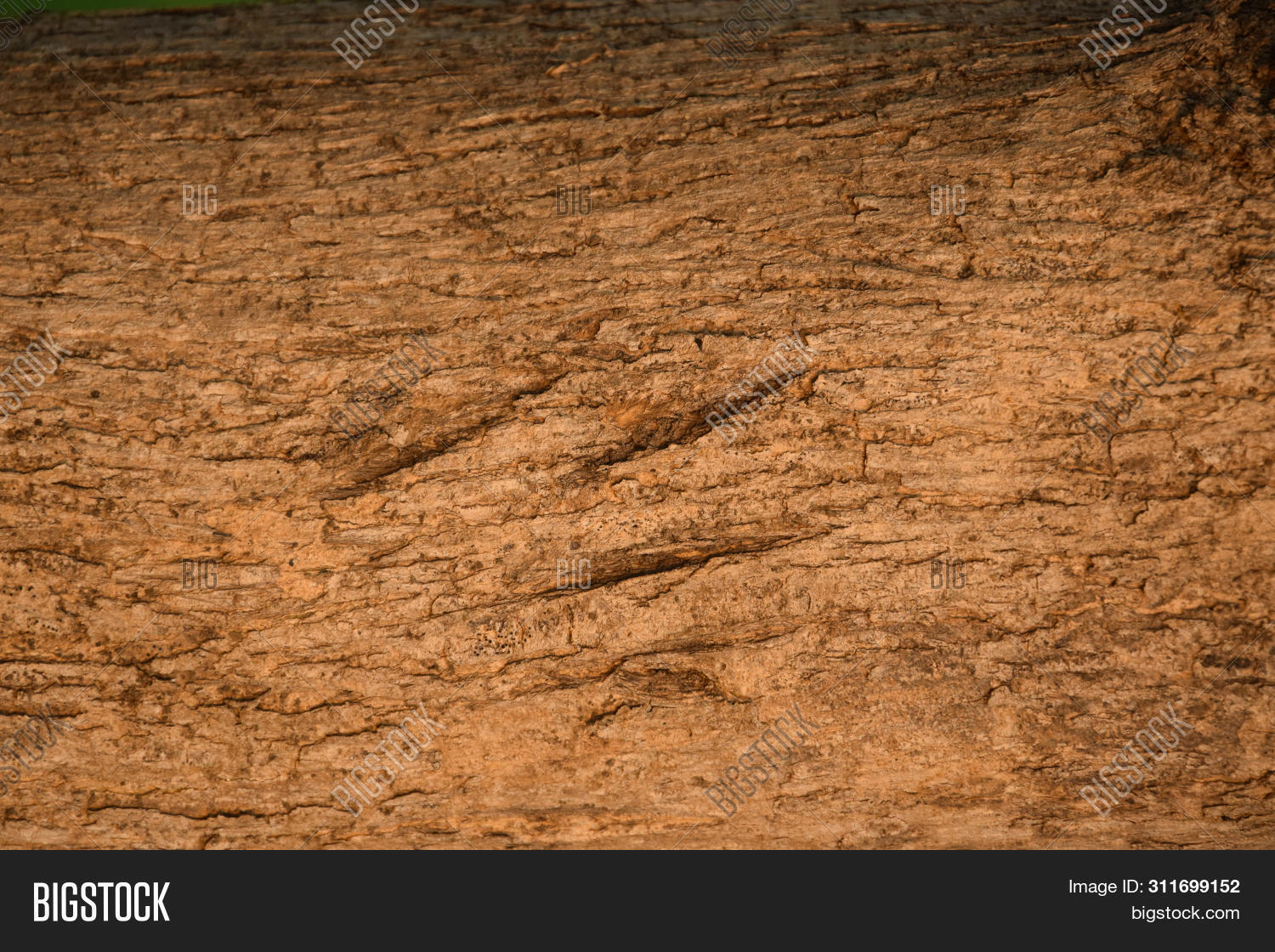 Details Teak Wood Image Photo Free Trial Bigstock
