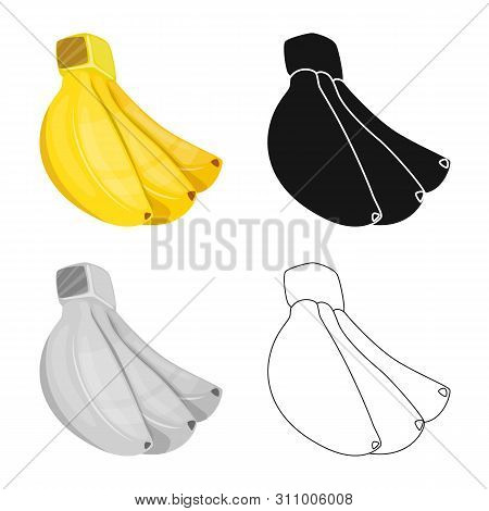 Vector Illustration Of Banana And Bunch Symbol. Set Of Banana And Fruit Vector Icon For Stock.