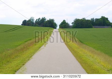 Beautiful Small Road In Wheat Field In The Slagelse City, Denmark.