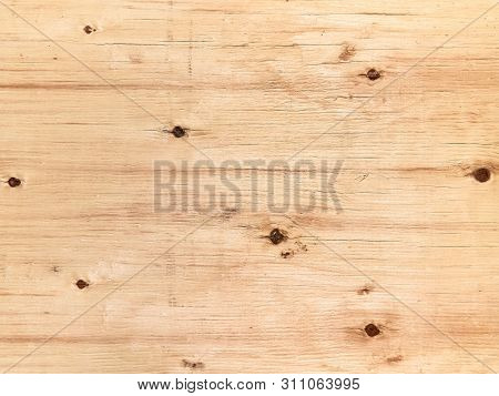 Wood Texture. Natural Natural Resunok On The Surface.
