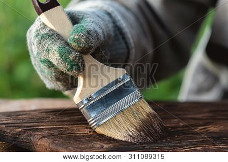 The Carpenter Is Dyeing A Wooden Board By A Brush In His Hand With A Mordant Paint.