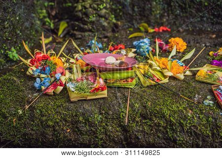 Daily Offerings - Canang Sari Is Very Important In Bali, Indonesia