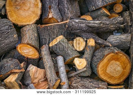 Texture Made From Wooden Cut Firewood, Background
