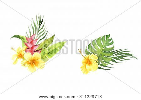 Hand Drawn Watercolor Tropical Plants Set. Bouquet With Monstera Leaf And Hibiscus Flowers Isolated 