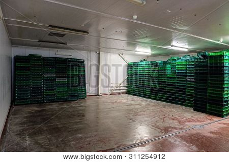 Storage Room For Empty Hatcher Baskets And Boxes. Agro-industrial Hatchery.