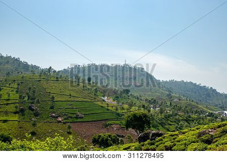 Tea Gardens In The Foothills Of Western Ghat