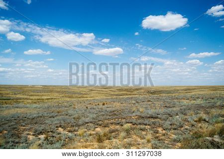 Steppe Landscape. Lonely Green Plants On Dry, Hot Sand.the Steppe Is Woodless. Ravine In The Steppe.