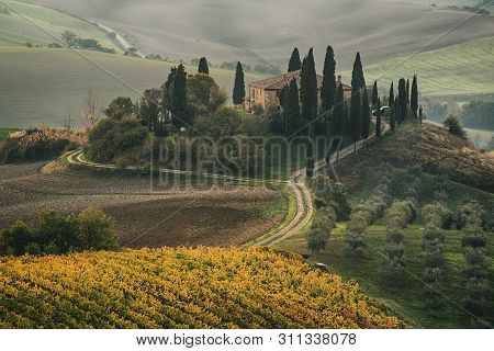Beautiful Golden Sunrise In Tuscany, Italy With Vineyard. Natural Idillyc Seasonal Autumn Background