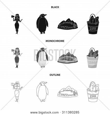 Vector Design Of Nature And Fun Icon. Collection Of Nature And Entertainment Stock Symbol For Web.