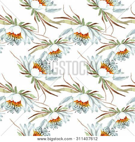 White Epiphillum Oxypetallim Floral Botanical Flowers. Watercolor Illustration Set. Seamless Backgro