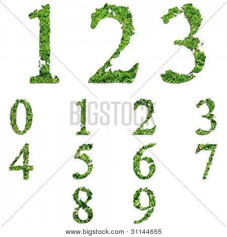 High Resolution konzeptionelle Set oder eine Sammlung von grünem Gras, Eco-Schriften, isolated on white Background, Id