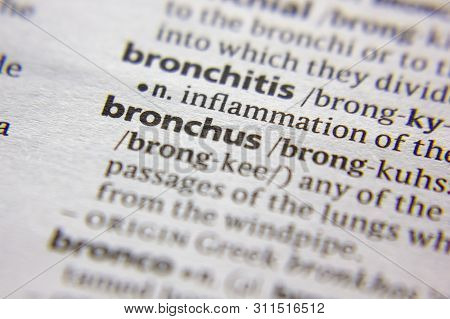 Word Or Phrase Bronchus In A Dictionary
