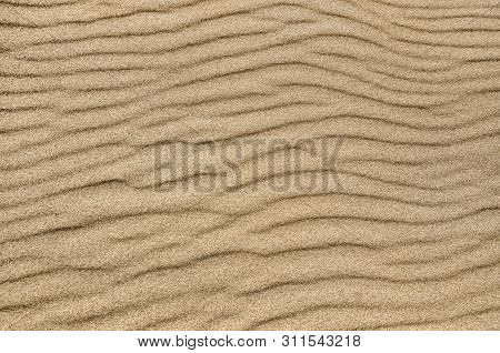 Sand Ripple Texture. Sandy Background. Sand Close-up.