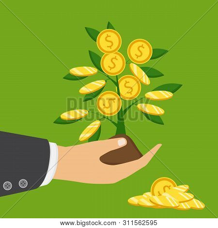 The Hand Of A Businessman Who Pours A Money Tree. The Concept Of Earnings, Success In Work, Money. V