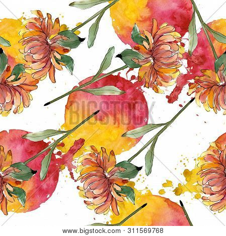 Aster Floral Botanical Flowers. Watercolor Background Illustration Set. Eamless Background Pattern.