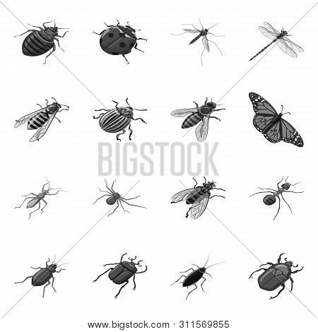 Isolated Object Of Small And Animal Icon. Set Of Small And Wildlife Vector Icon For Stock.
