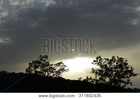 A Little Sunlight  Between Two Trees Just Before Sunset