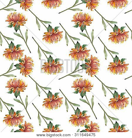Aster Floral Botanical Flowers. Watercolor Background Illustration Set. Eamless Background Pattern.