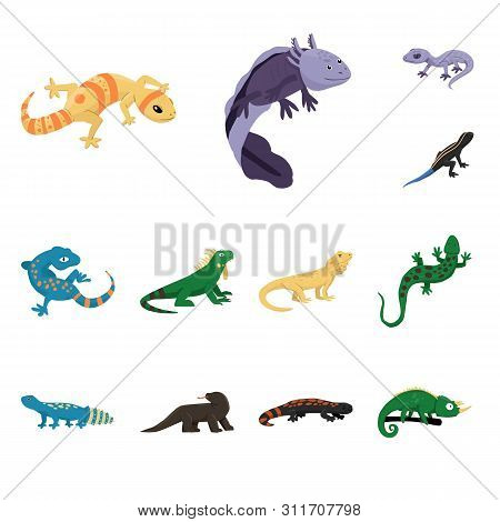 Vector Illustration Of Animal And Reptile Logo. Set Of Animal And Nature Vector Icon For Stock.