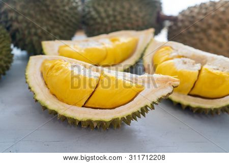 Malaysia famous fruits durian musang king, sweet golden creamy flesh.