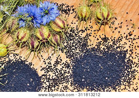 Black Cumin Field , Nigella Sativa.