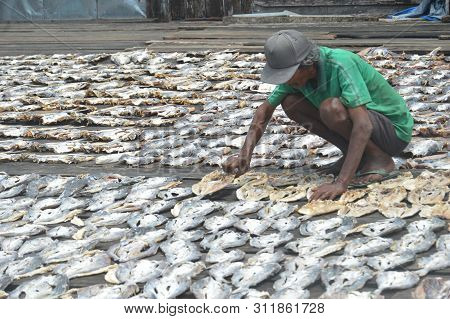 Dried Fish Farming
