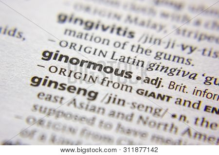 Word Or Phrase Ginormous In A Dictionary