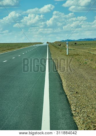 Road In Gobi Desert