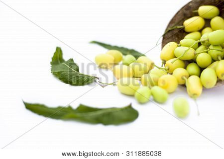 Neem Fruit Or Nim Fruit Or Indian Lilac Fruit In A Clay Bowl Isolated On White Along With Some Fresh