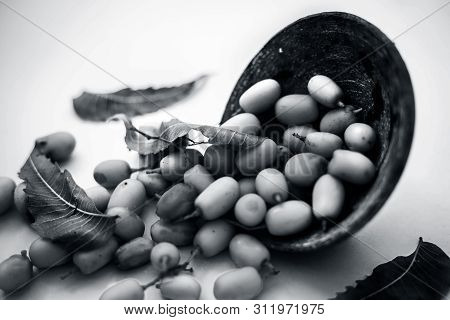Nimbodi Or Nimbudi Or Neem Fruit In A Clay Bowl Isolated On White Also Known As Azadirachta Indica,