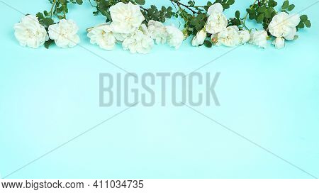 Abstract Floral Composition Flat Lay, Roses On A Light Background, Minimal Concept, Spring Banner. C