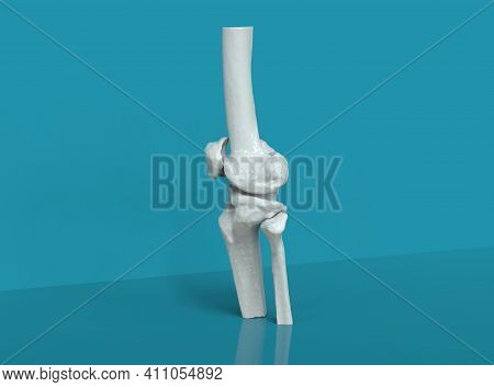 Model Of Human Legs And Hips On Yellow Background, 3d Render