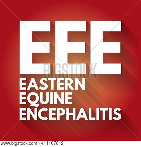 Eee - Eastern Equine Encephalitis Acronym, Medical Concept Background