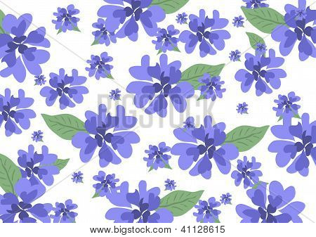 배경 블루 cornflowers