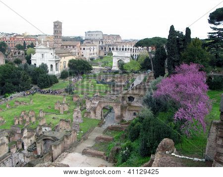 FORUM ROMANUM