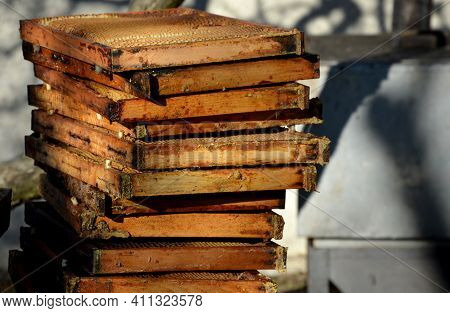 Work Of A Beekeeping Company Melting Old Dark Wax Combs. In A Stainless Steel Steam Boiler. The Wax 