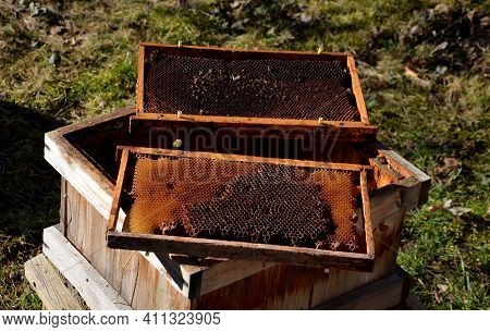 Work Of A Beekeeping Company Melting Old Dark Wax Combs. In A Stainless Steel Steam Boiler. The Wax 