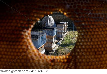 In Some Combs There Are Holes That Bees Make As Abbreviations. Beekeeper At Apiary Makes Fingers In 