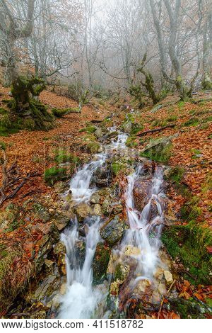 Beech Landscape In Autumn With Creek Going Down The Mountain And Long Exposure Photography. Somosier